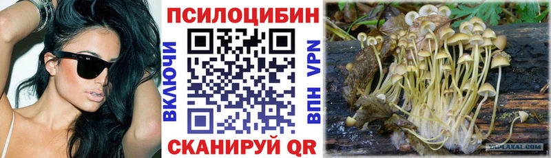 omg ONION  Советский  Псилоцибиновые грибы прущие грибы 